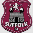 Inclusion Advisory Group members Icon