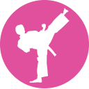 Taekwondo Icon