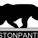 Pinkston Panthers Icon